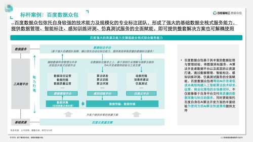 德勤咨詢人工智能基礎數據服務白皮書 驅動基礎軟件開發的新引擎